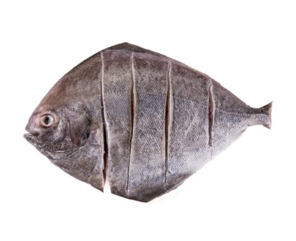 kala paplet fish